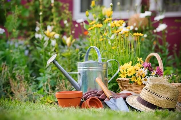 photo of a flower garden and gardening tools