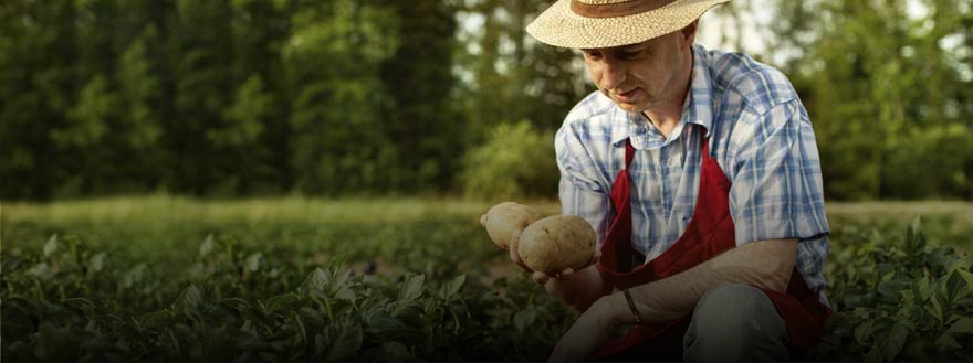 Natural-Based Agro Chemicals