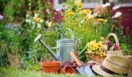 photo of a flower garden and gardening tools