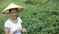 Global Sustainability Challenge